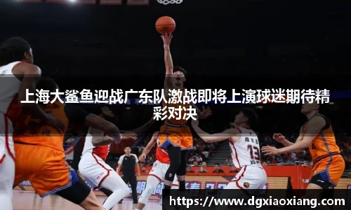 皇冠welcome体育官网